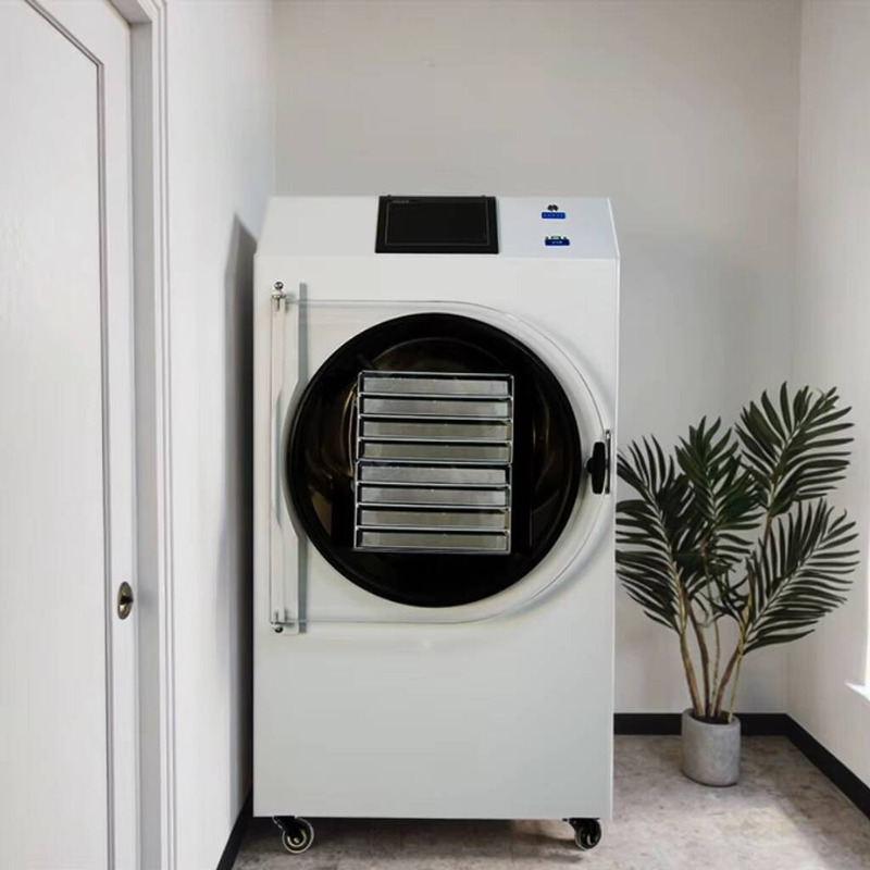 Dried Fruit - Asciugatrice automatica controllata da PLC Liofilizzatore