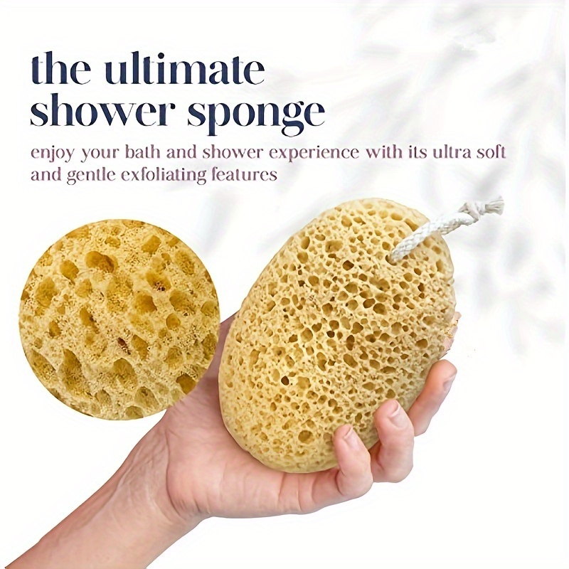 Bolla da bagno in spugna di al - Seaweed Snack recensione e prezzo
